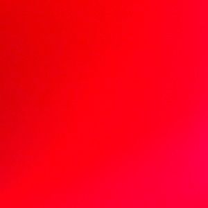 Meet your Posher, Bernadette